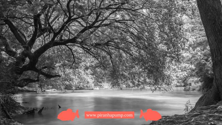 How to Tackle Summer Sediment Buildup Before It Costs You
